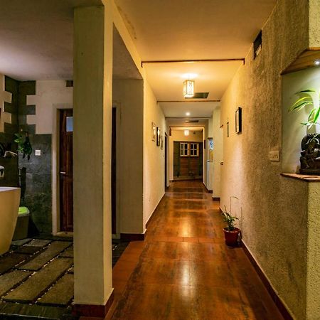 Mistletoe Homestay & Cafe Munnar Zewnętrze zdjęcie