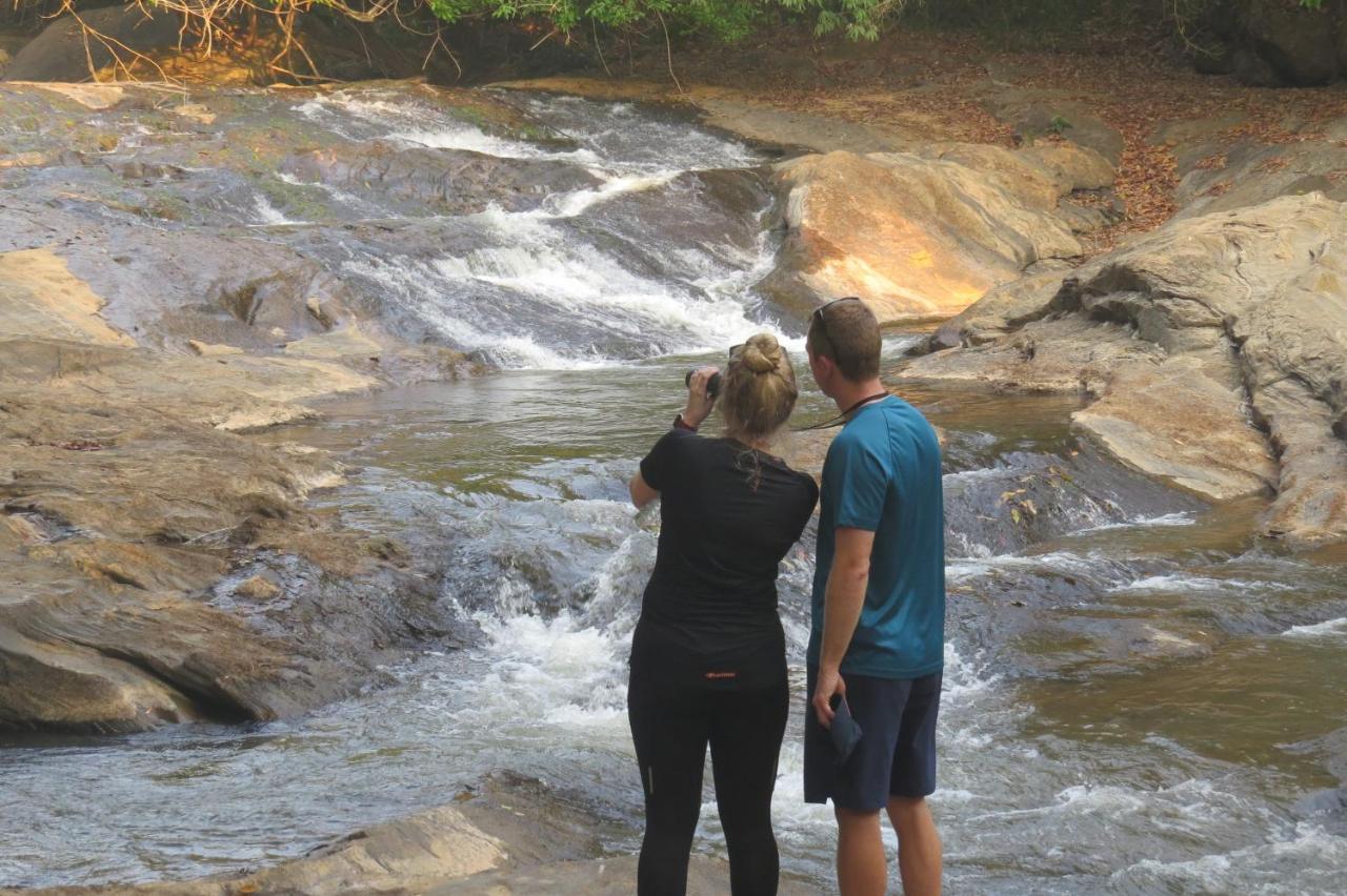 Mistletoe Homestay & Cafe Munnar Zewnętrze zdjęcie