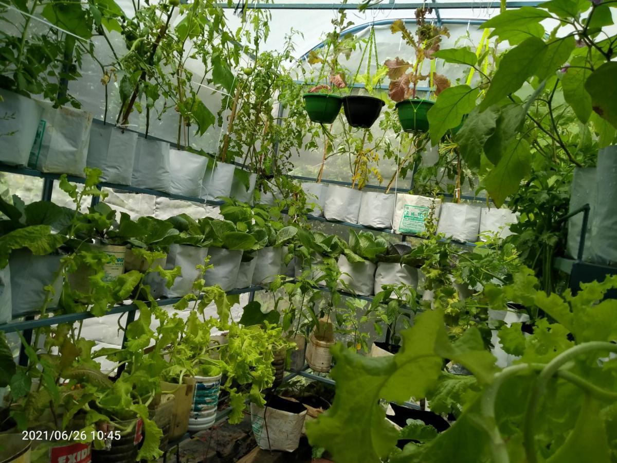 Mistletoe Homestay & Cafe Munnar Zewnętrze zdjęcie