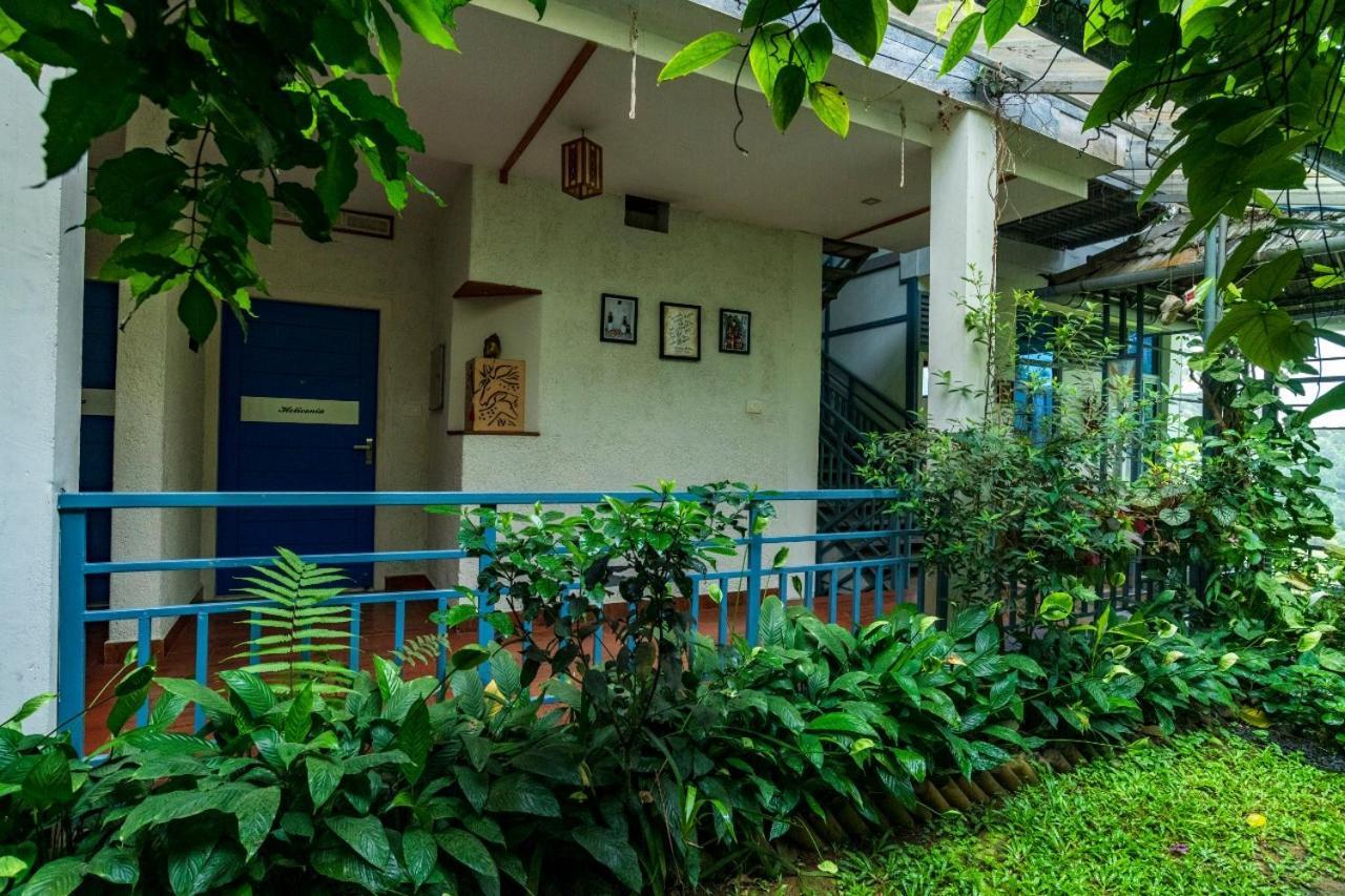 Mistletoe Homestay & Cafe Munnar Zewnętrze zdjęcie