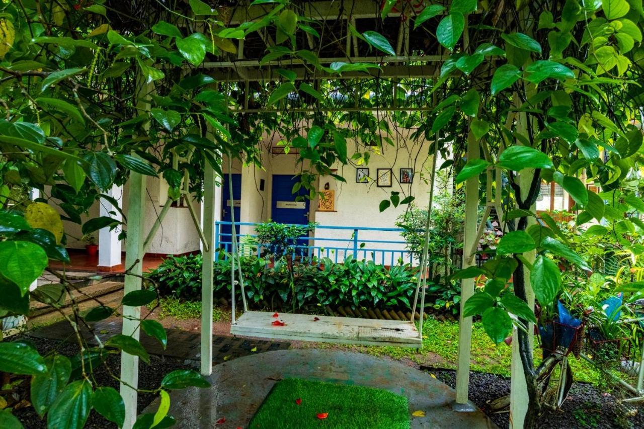 Mistletoe Homestay & Cafe Munnar Zewnętrze zdjęcie