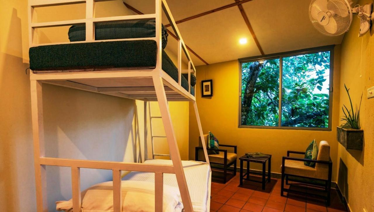 Mistletoe Homestay & Cafe Munnar Zewnętrze zdjęcie
