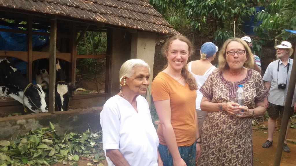 Mistletoe Homestay & Cafe Munnar Zewnętrze zdjęcie