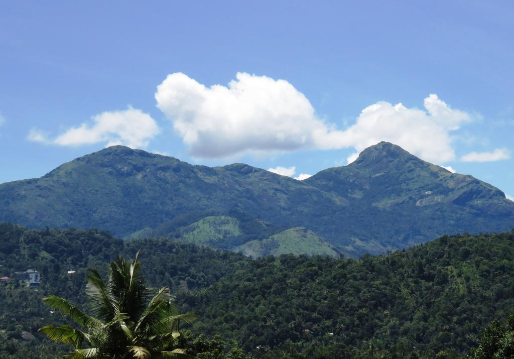 Mistletoe Homestay & Cafe Munnar Zewnętrze zdjęcie