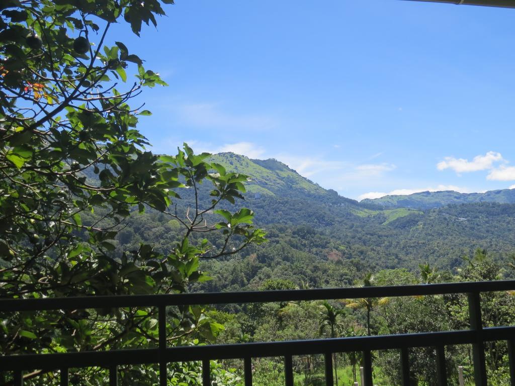 Mistletoe Homestay & Cafe Munnar Zewnętrze zdjęcie