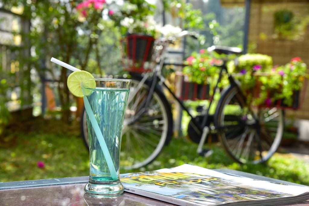 Mistletoe Homestay & Cafe Munnar Zewnętrze zdjęcie