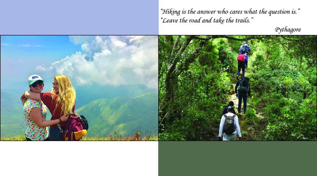 Mistletoe Homestay & Cafe Munnar Zewnętrze zdjęcie