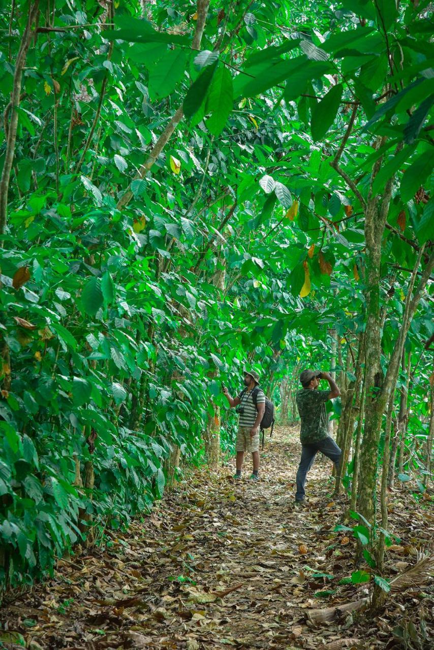 Mistletoe Homestay & Cafe Munnar Zewnętrze zdjęcie