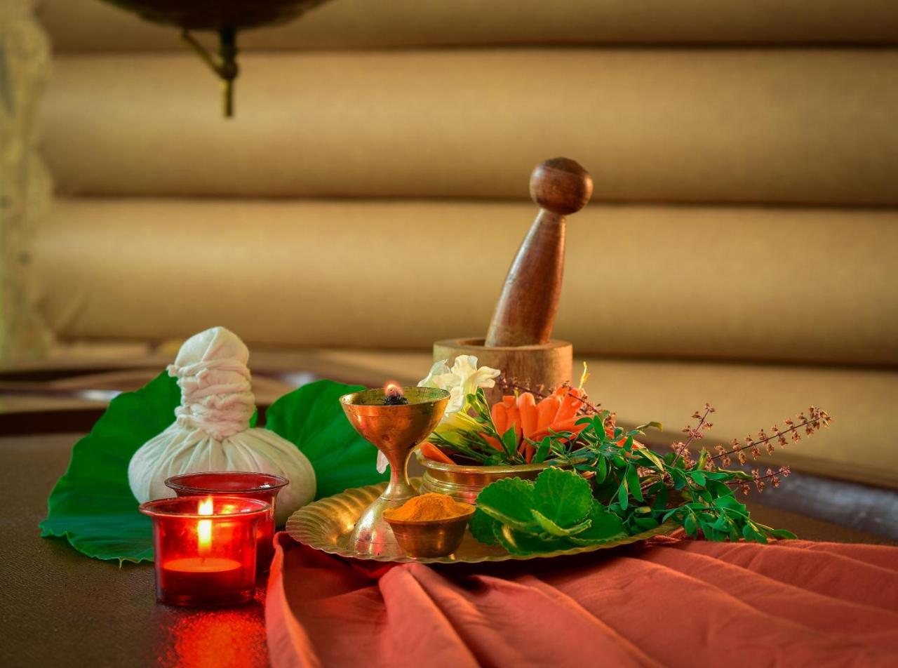 Mistletoe Homestay & Cafe Munnar Zewnętrze zdjęcie